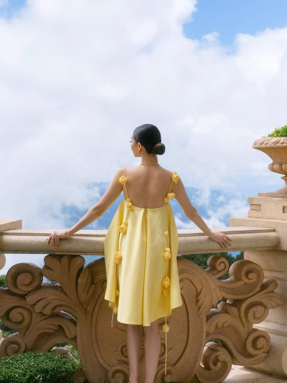 Damen Minikleid Rückenfrei Mit 3D Rosen A Linie