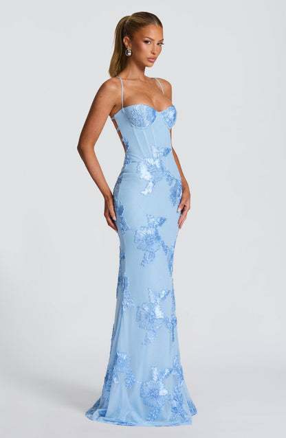 Damen Velours Maxikleid