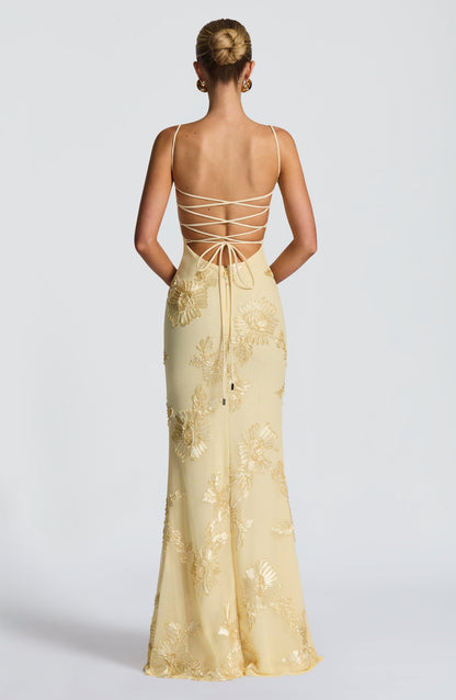 Damen Velours Maxikleid