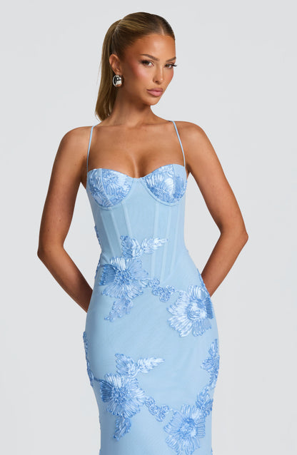 Damen Velours Maxikleid
